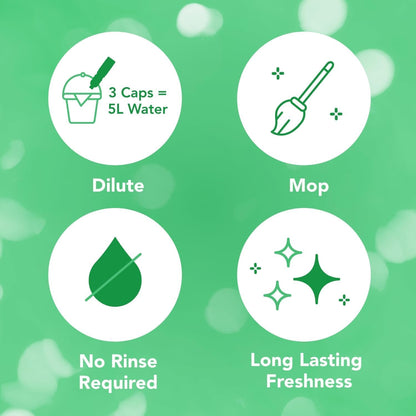 Asevi Anti Odour Concentrated Pet Floor Cleaner 1L